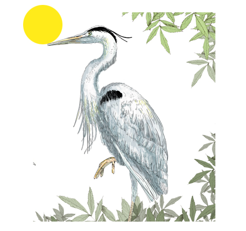 L&rsquo;Huveaune à Aubagne