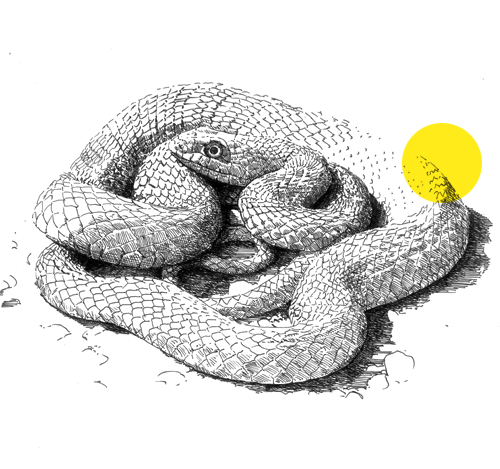 Le parc de l&rsquo;Huveaune à la Pomme