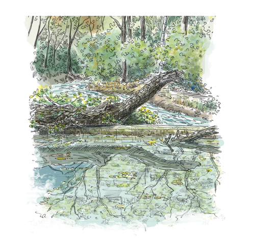 Roquefavour, seuil ou cascade ?